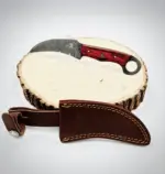 Elite Karambit Knife - Image 3