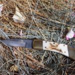 Predator 238 Folding Knife