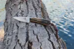 Jaguar 325 Pen Knife