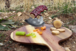 Brown Bear 425 Ulu Knife