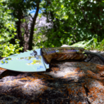 Titan 350 Hunting Knife