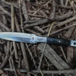 Deluxe Western Boot Knife