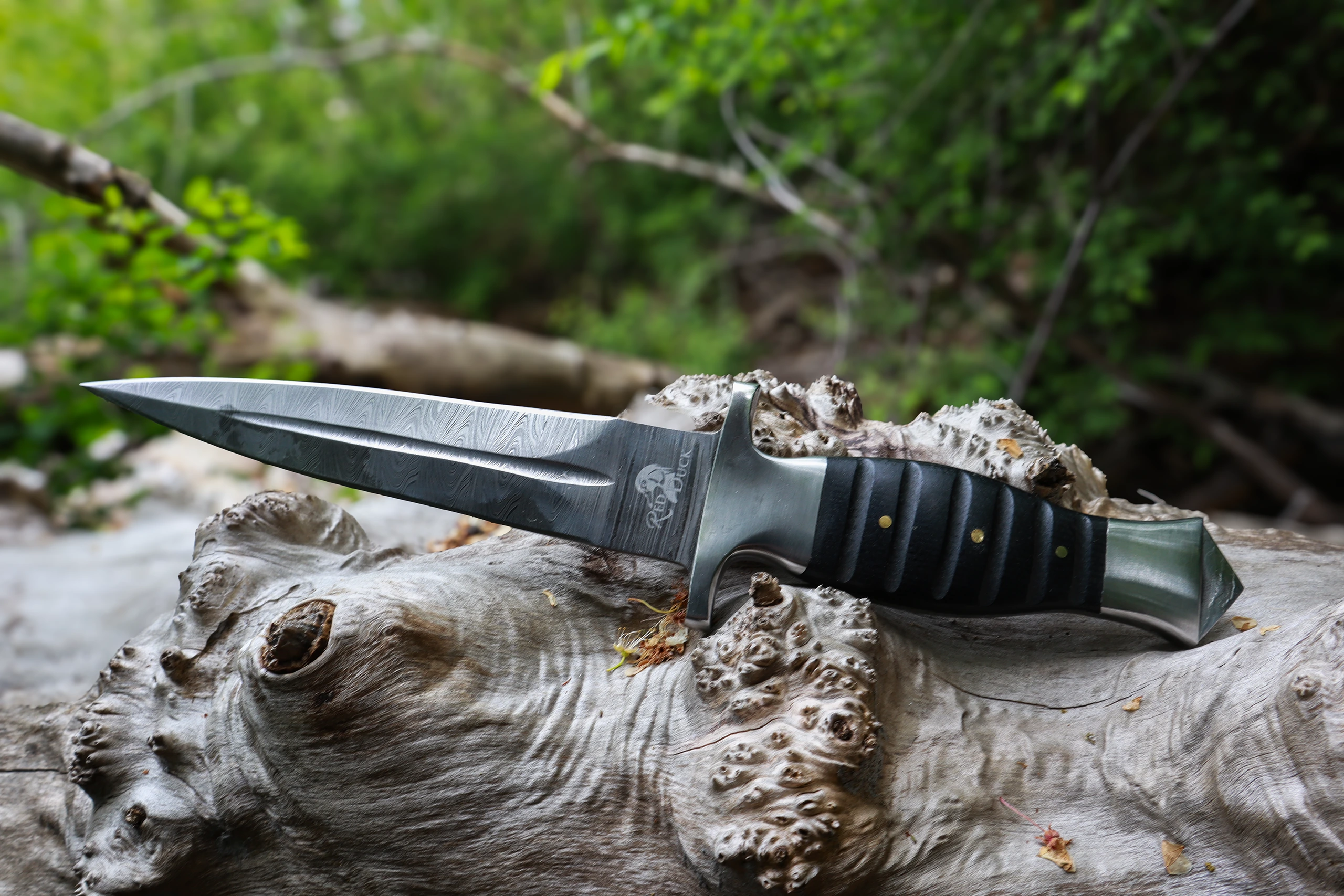 Spartan Background Spartan Background