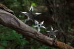 Lightning Bolt 288 Throwing Stars