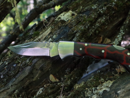 Free Grazer Main Photo